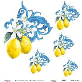 Cadence Evrensel Pirinç Dekopaj  - UC169