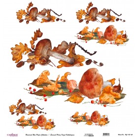 Cadence Evrensel Pirinç Dekopaj  - UC173