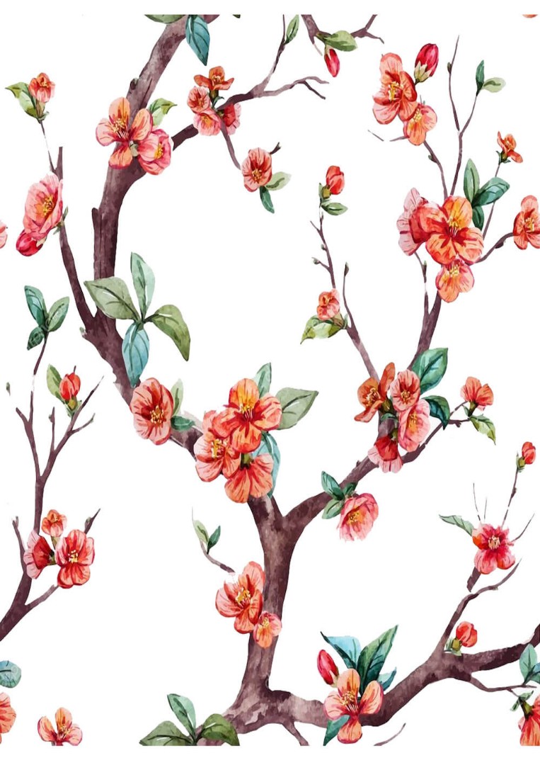 SD Pirinç Dekopaj - SDP500