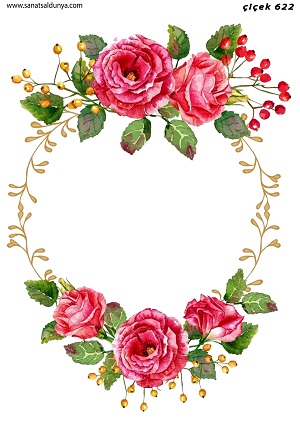 SD Pirinç Dekopaj - SDP622