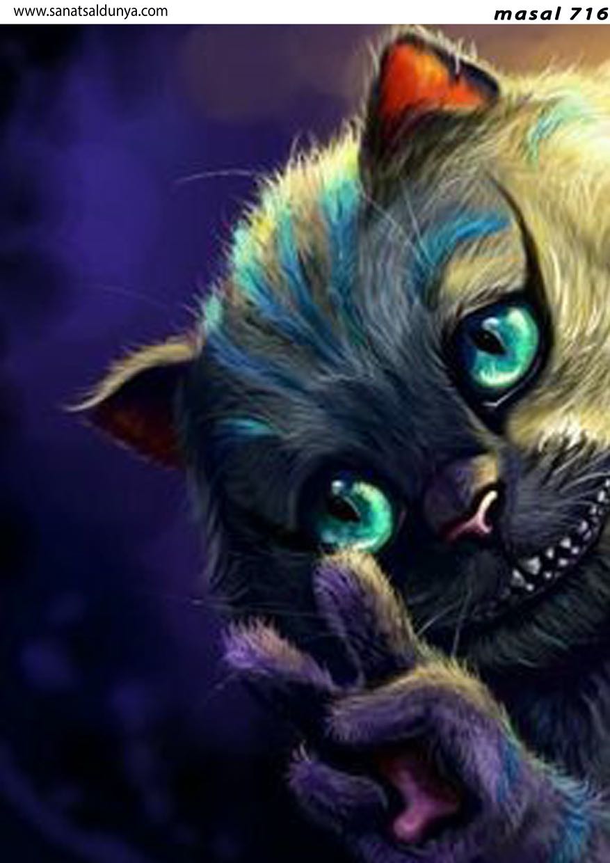 SD Pirinç Dekopaj - SDP716