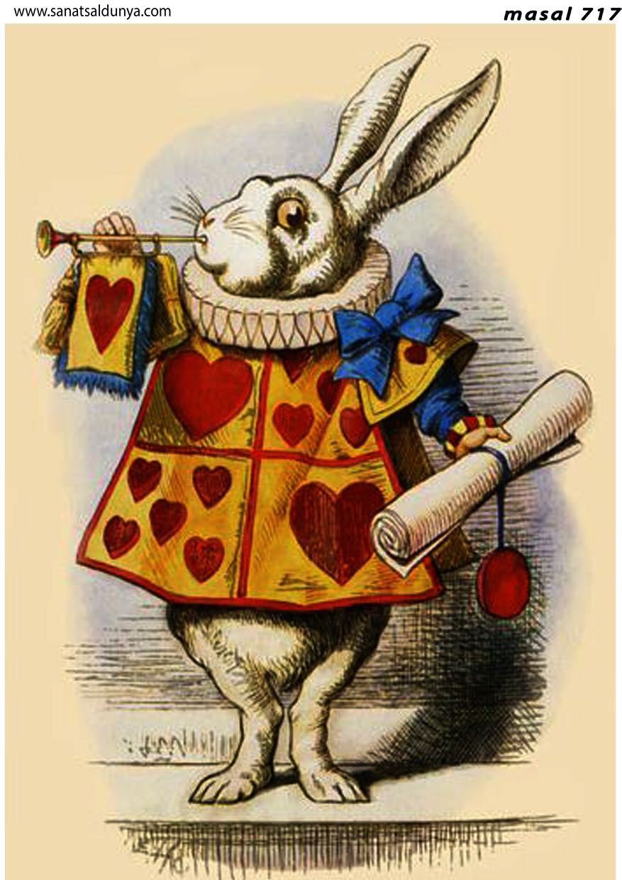 SD Pirinç Dekopaj - SDP717