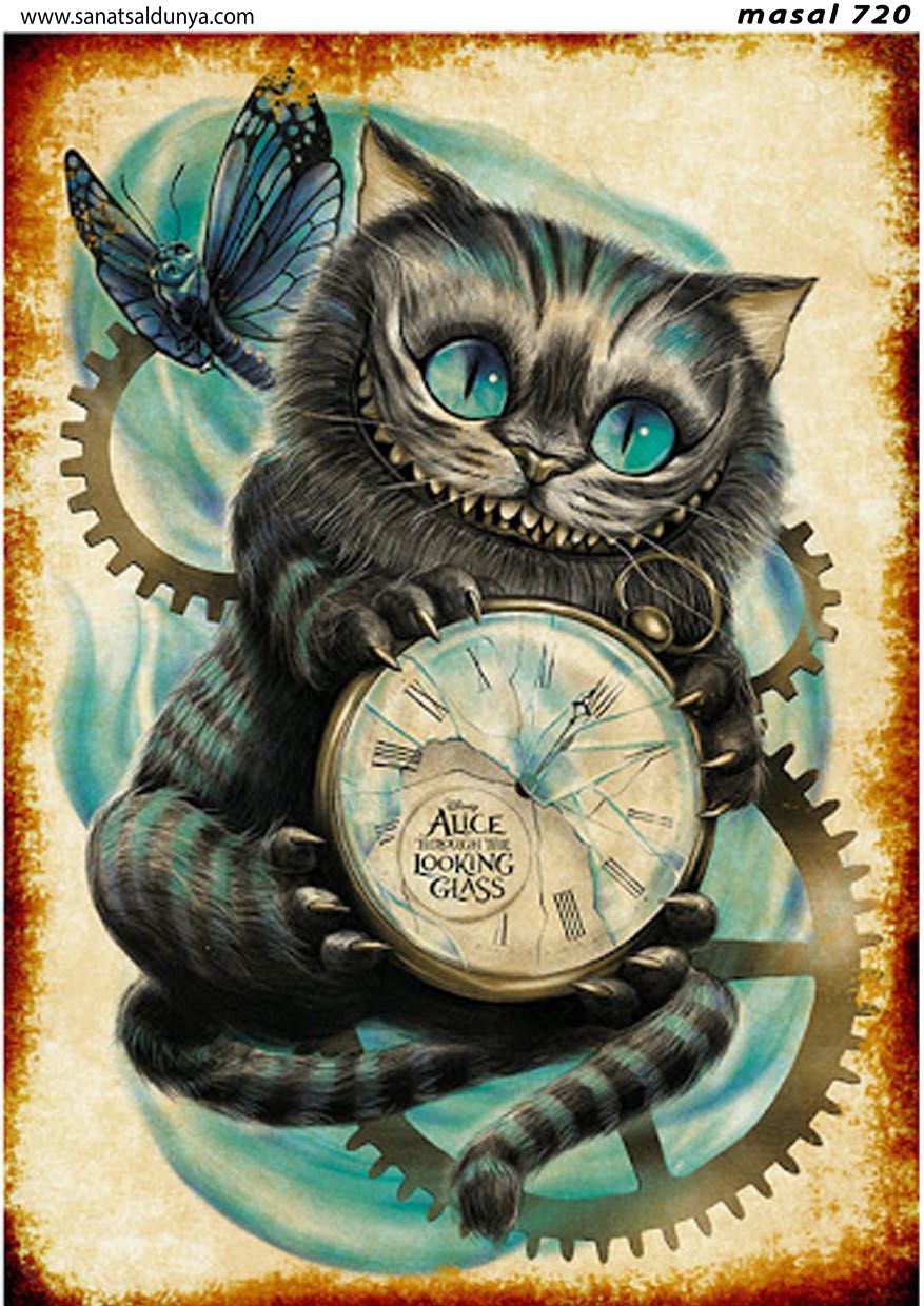 SD Pirinç Dekopaj - SDP720