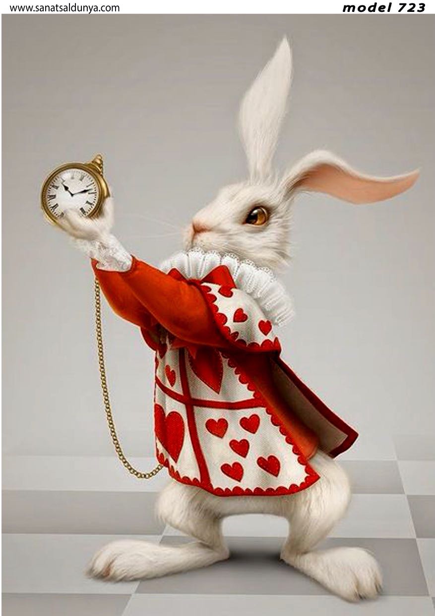 SD Pirinç Dekopaj - SDP723