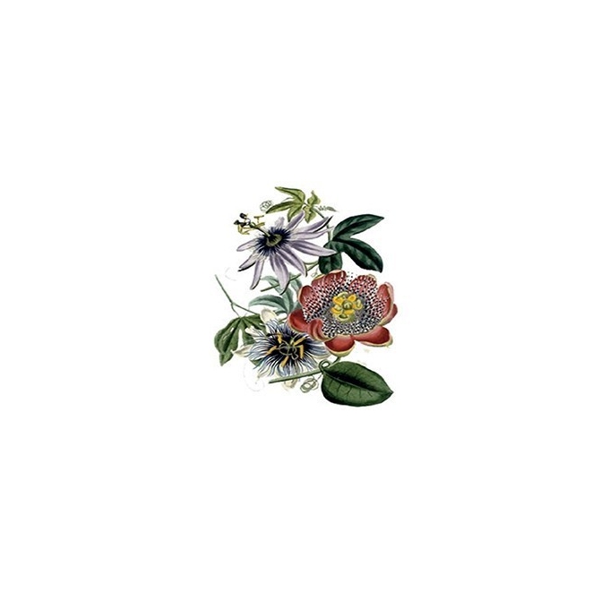 CD882 Planet Transfer