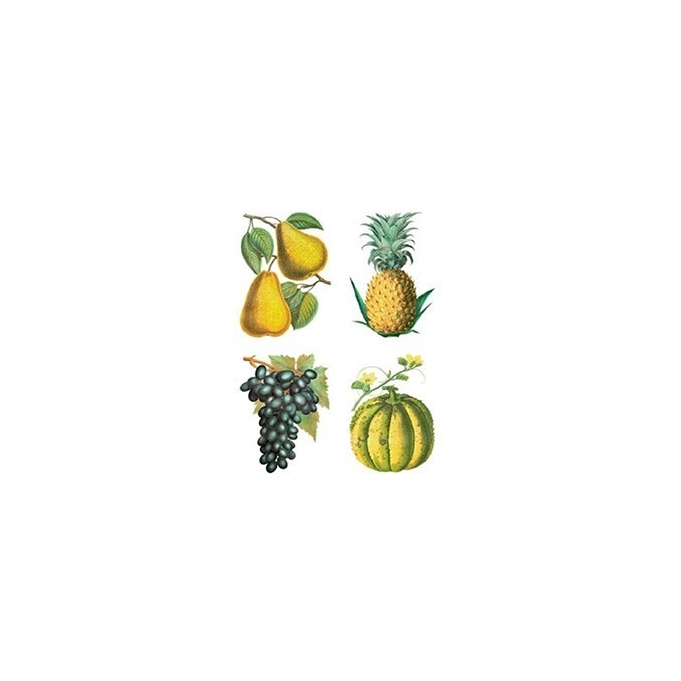 CD904 12x17 Planet Transfer