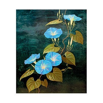 G116 17x25 Planet Transfer