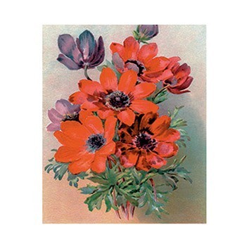 G122 17x25 Planet Transfer