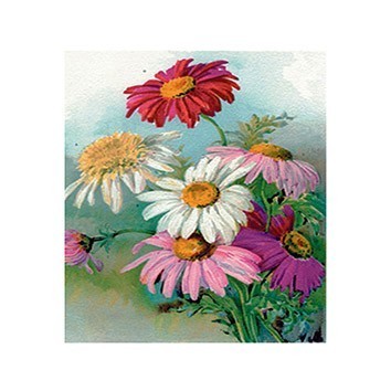 G123 17x25 Planet Transfer