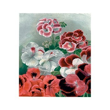 G131 17x25 Planet Transfer