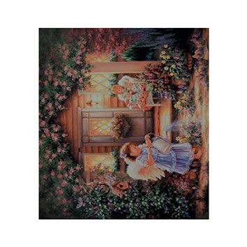 G140 17x25 Planet Transfer