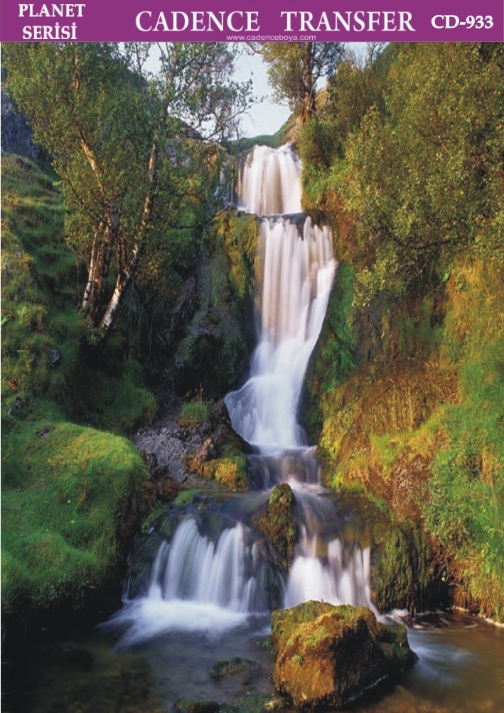 CD933 25x35 Planet Transfer