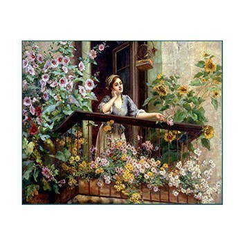 XL13 35x50 Planet Transfer