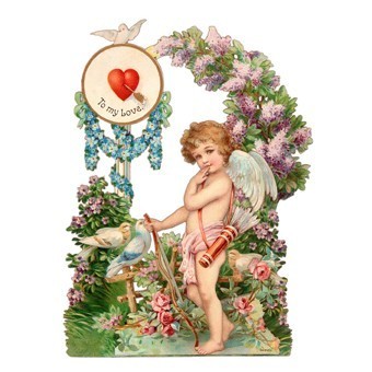 RR02 Renkli Rubon Transfer