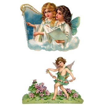 RR06 Renkli Rubon Transfer