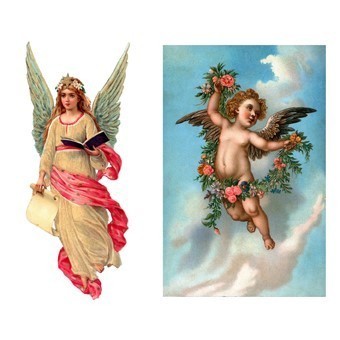 RR07 Renkli Rubon Transfer