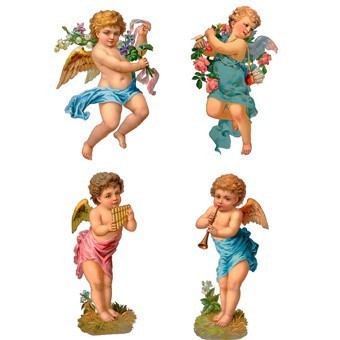 RR08 Renkli Rubon Transfer