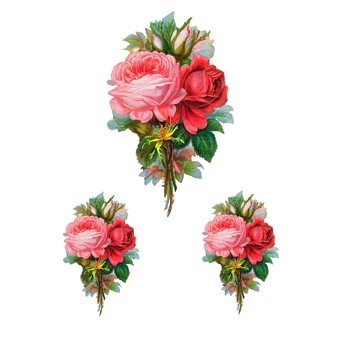 RR09 Renkli Rubon Transfer