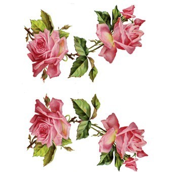 RR13 Renkli Rubon Transfer