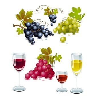 RR30 Renkli Rubon Transfer