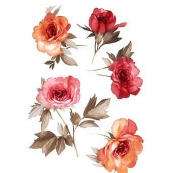 RR32 Renkli Rubon Transfer