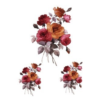 RR36 Renkli Rubon Transfer