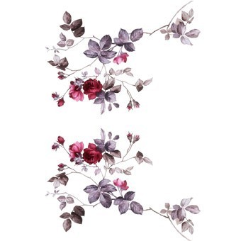 RR37 Renkli Rubon Transfer