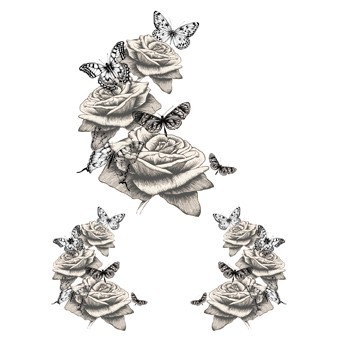 RR43 Renkli Rubon Transfer