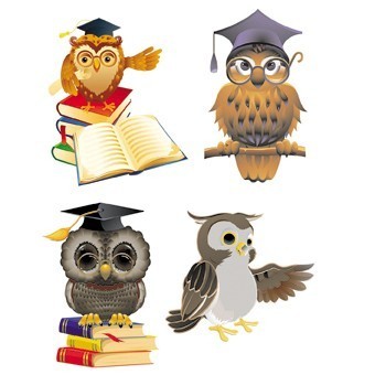 RR62 Renkli Rubon Transfer