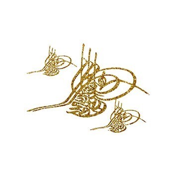 SM045 17x25 Simli Transfer