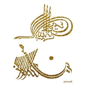 SM065 25x35 Simli Transfer