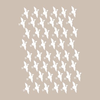 BN005 25x36 BN Serisi Stencil