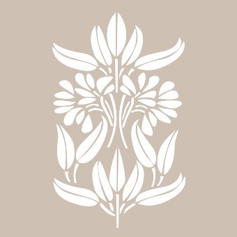 BN009 25x36 BN Serisi Stencil