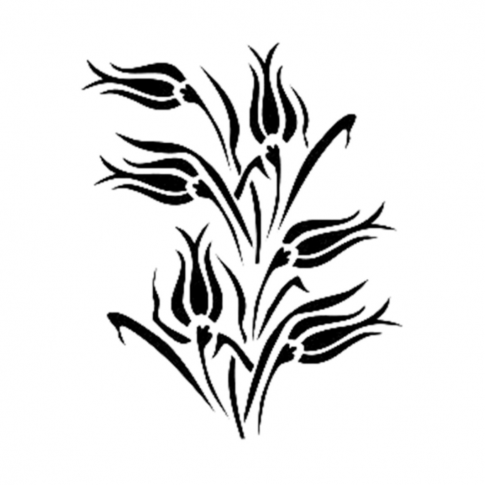 BN124 25x36 BN Serisi Stencil