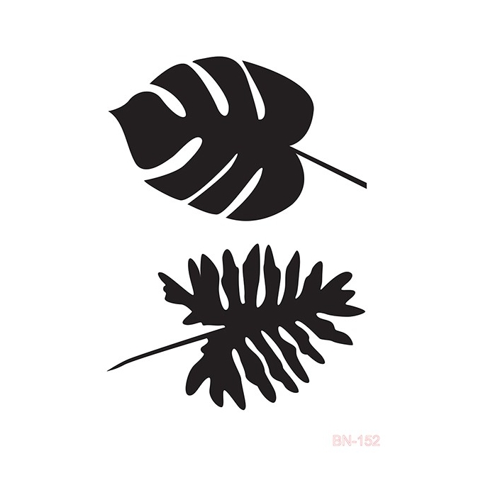 BN152 25x36 BN Serisi Stencil