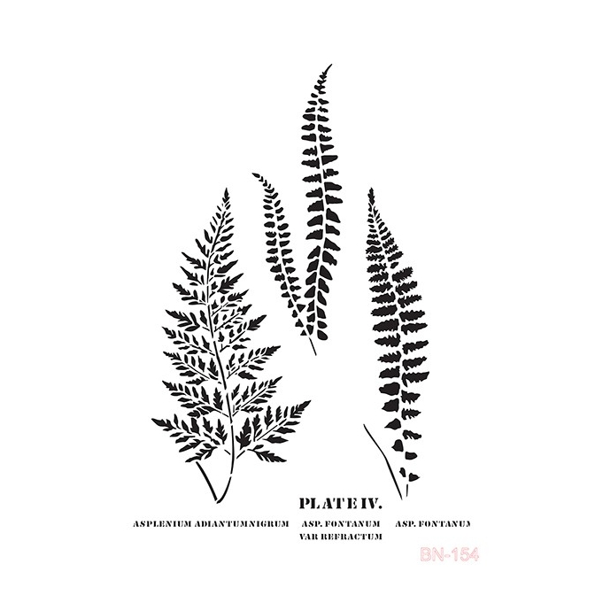 BN154 25x36 BN Serisi Stencil