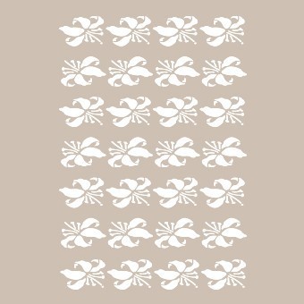 BN033 25x36 BN Serisi Stencil