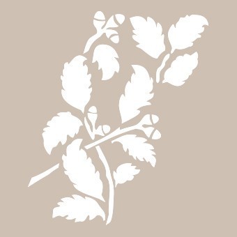 BN046 25x36 BN Serisi Stencil