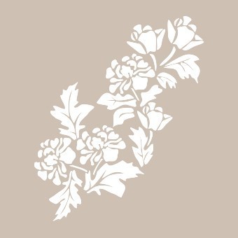 BN077 25x36 BN Serisi Stencil