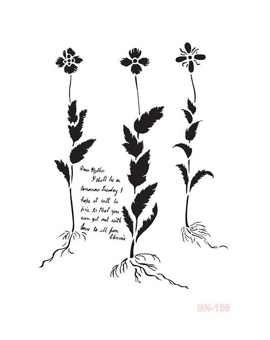 BN156  25x36 BN Serisi Stencil