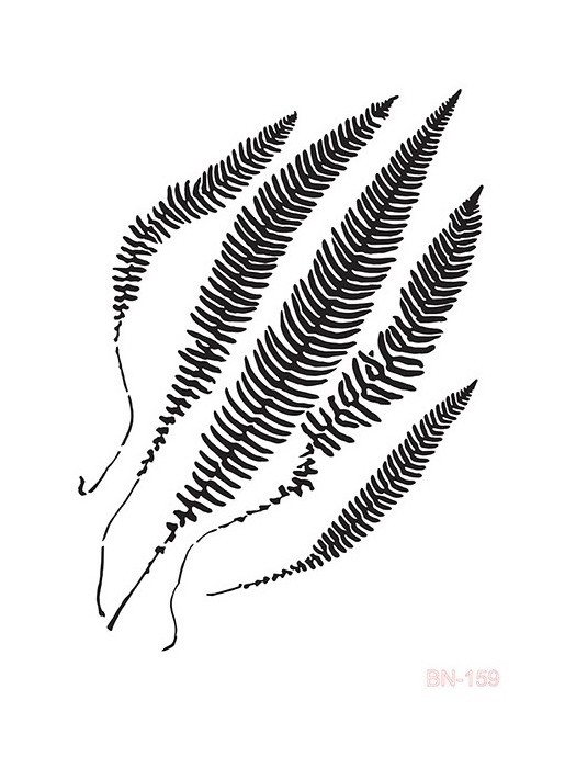 BN159 25x36 BN Serisi Stencil