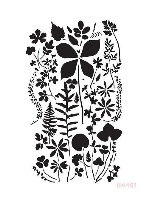 BN161 25x36  BN Serisi Stencil