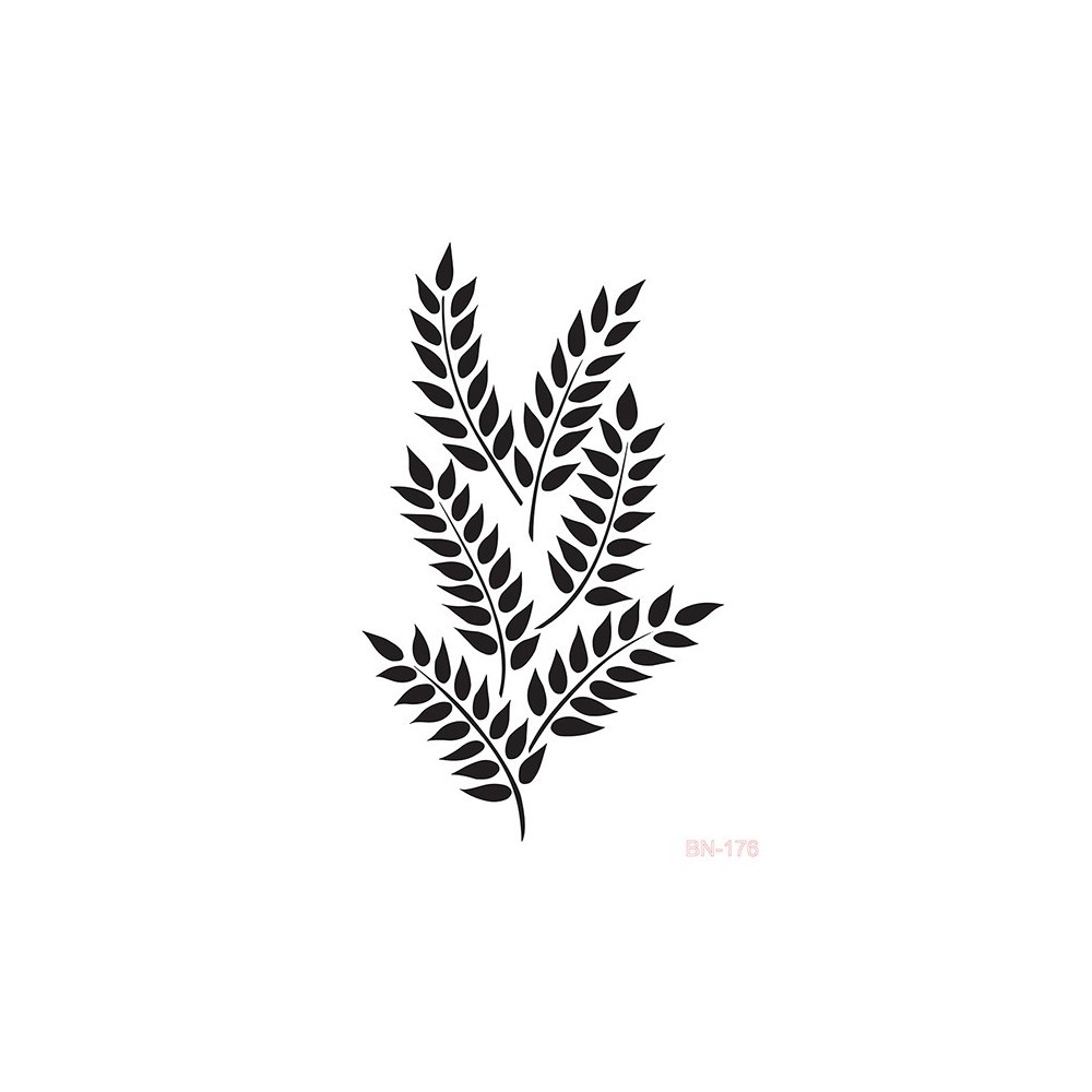 BN176 25x36 BN Serisi Stencil