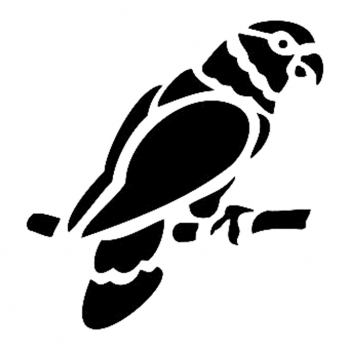 Cadence Papağan Stencil D363 15*20 Boyut