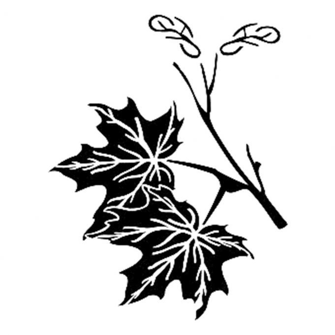 Cadence Stencil D240 15*20 Boyut