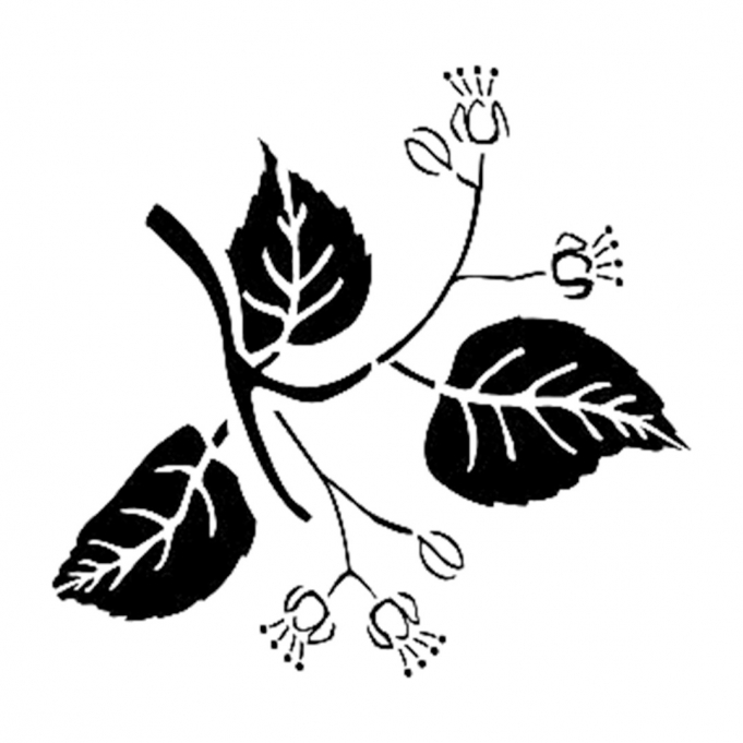 Cadence Stencil D250 15*20 Boyut