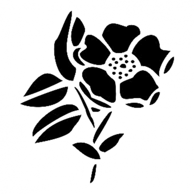 Cadence Stencil D364 15*20 Boyut