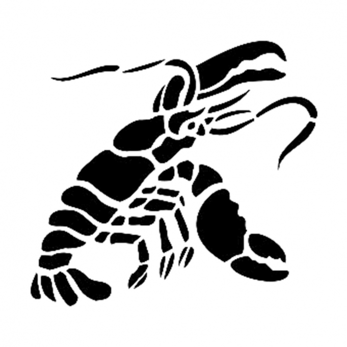 Cadence Stencil D383 15*20 Boyut