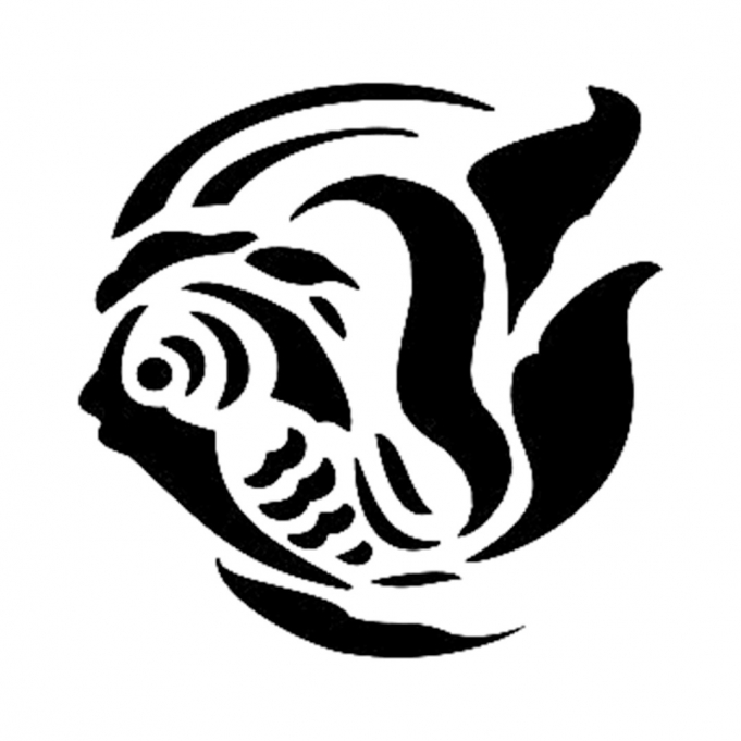 Cadence Stencil D387 15*20 Boyut