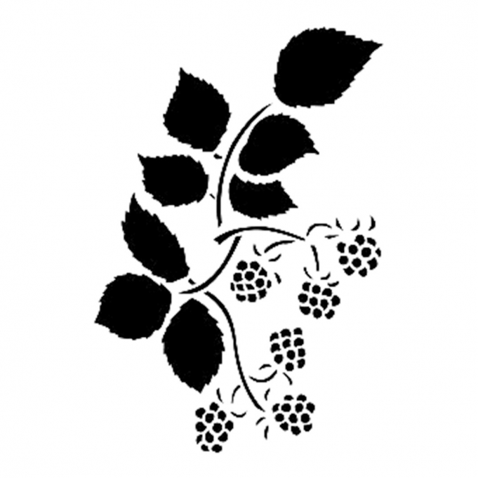 Cadence Stencil D65 15*20 Boyut